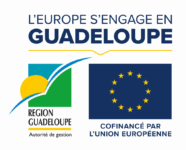 Bloc logo Europe s'engage en Guadeloupe - AVI CONSEIL