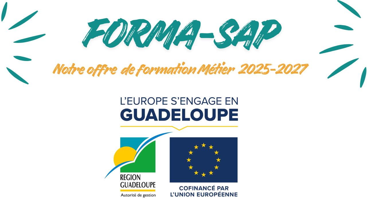 Présentation FSE SITE INTERNET