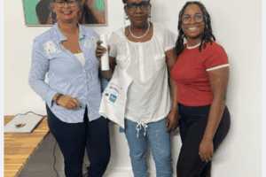 REMISE DE DIPLOME ADVF (6)